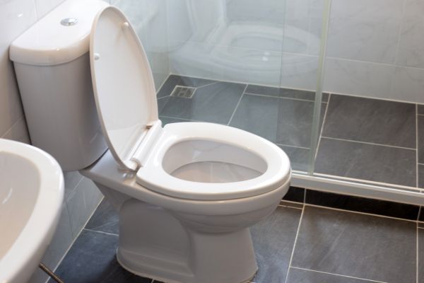 Toilet Replacement in Woodinville