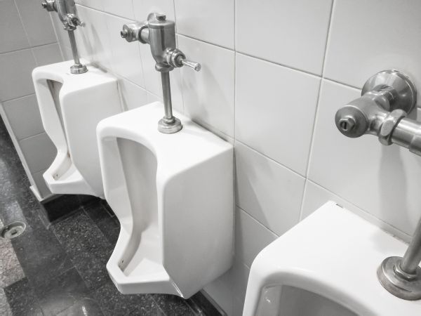 Cost of Urinal Installation in Woodinville
