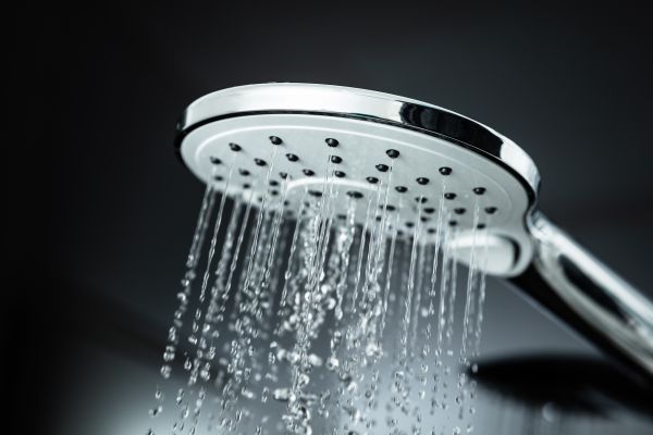 Cost of Shower Head Replacement in Woodinville