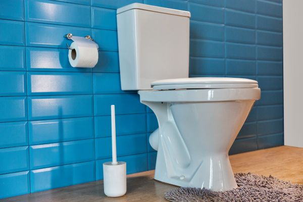 Cost of Toilet Tank Repair in Woodinville