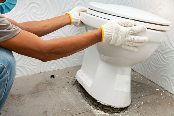 Cost of Toilet Removal in Woodinville