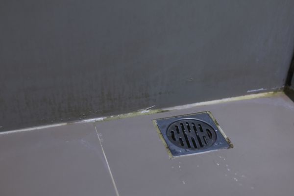 Bathroom Drain Installation in Woodinville