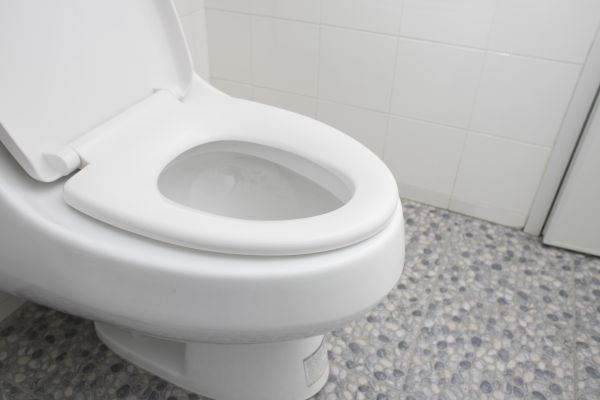 Cost of New Toilet Installation in Woodinville